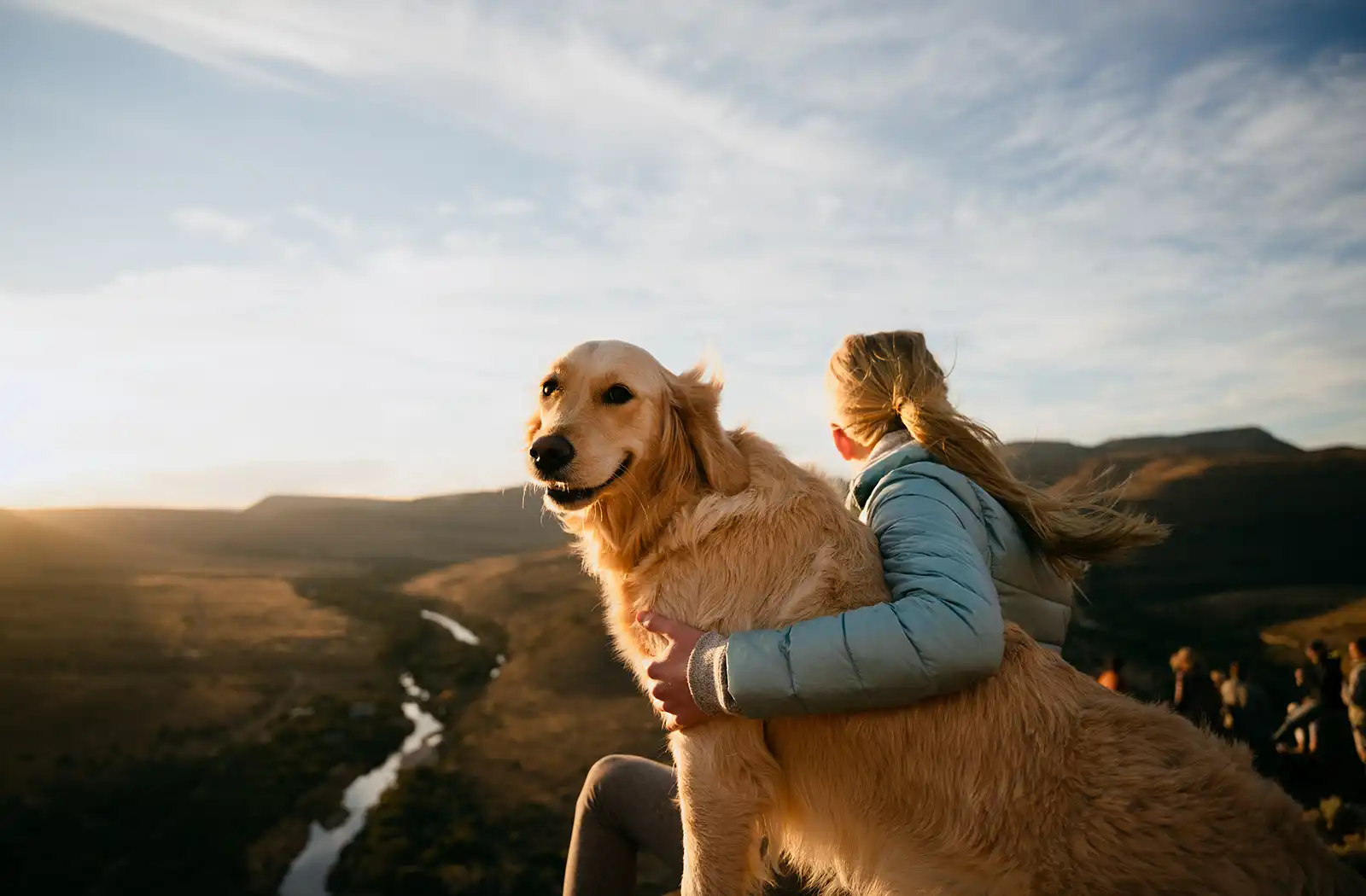 Olympic National Park Pet Friendly Lodging Options for Your Upcoming Adventure