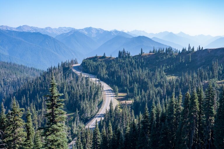 Aerial view of the road up to Hurricane Ridge Olympic National Park