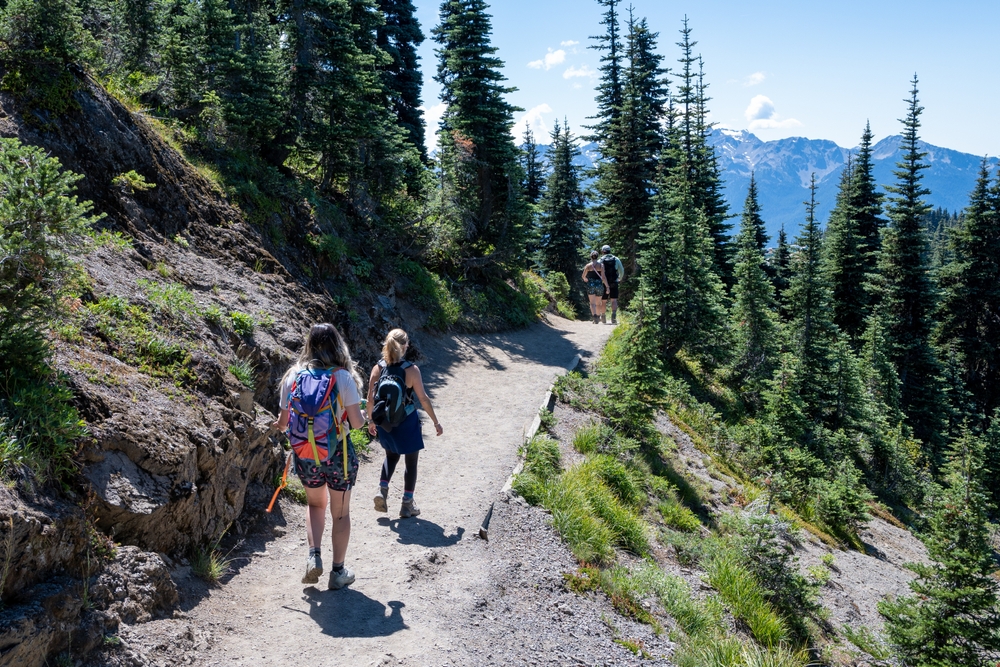 Visit Hurricane Ridge in Olympic National Park 4 Hikers on the trails at Hurricane Ridge Olympic National Park