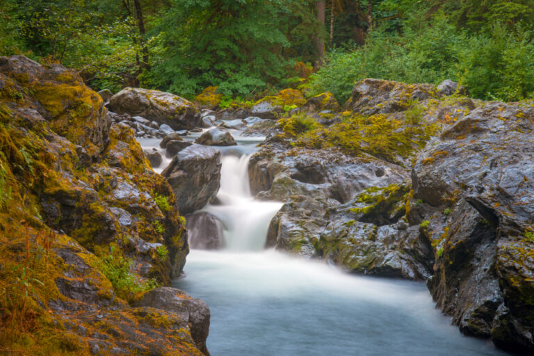 View of Salmon Cascades in the Olympic National Park, a great place to view the salmon run
