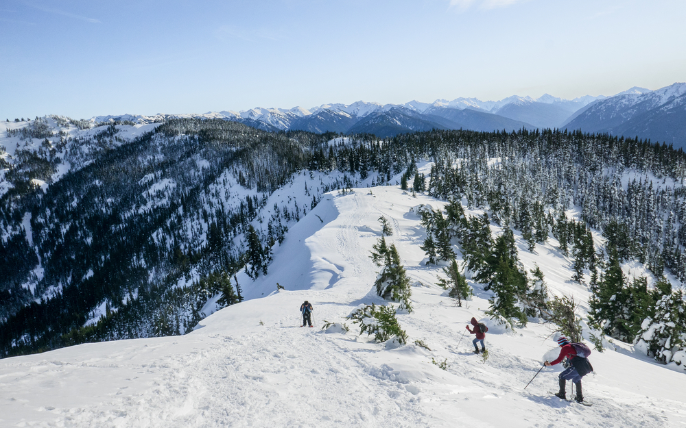 People snowshoeing at Hurricane Ridge, one of the best Olympic National Park Winter adventures