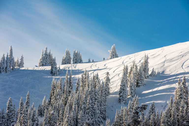 Snowboarders at Hurricane Ridge Ski Area in Olympic National Park