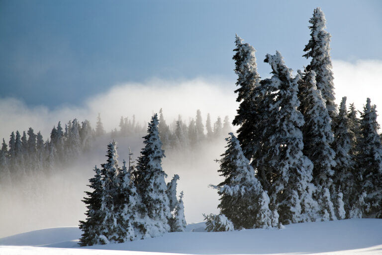 alpine views while snowshoeing at Hurricane Ridge, Washington