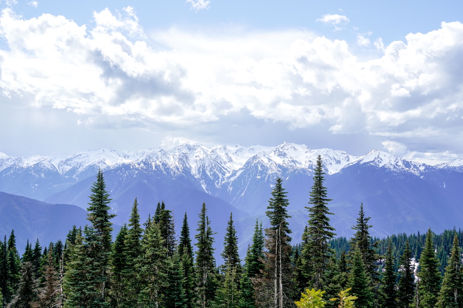 Views of the Olympic Mountains during your Olympic Peninsula Road Trip
