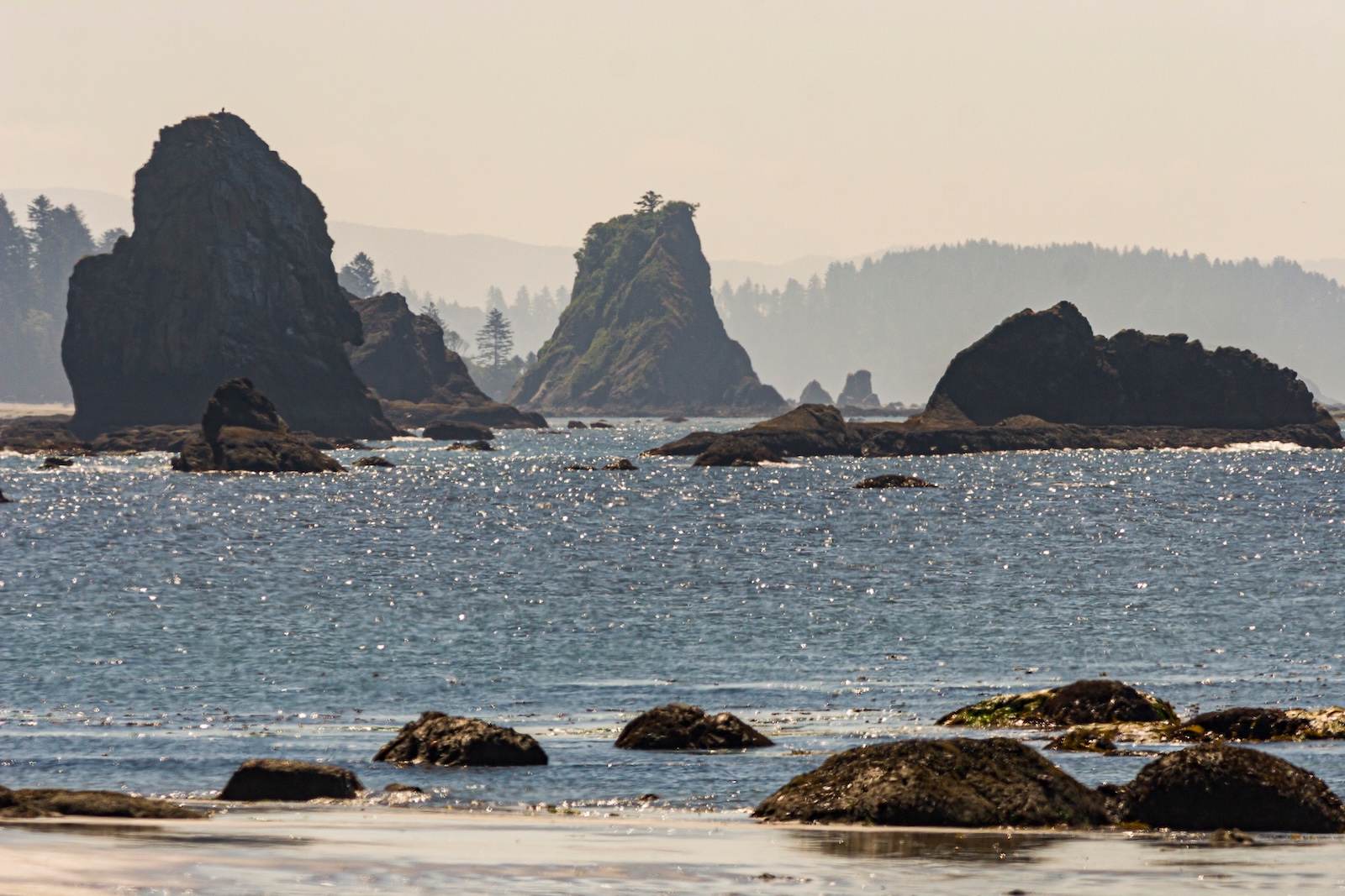 Sea Stacks at Beaches in Olympic National Park