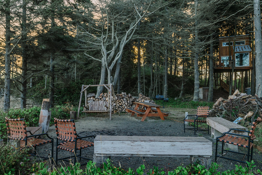 See the Sights Along the Olympic Peninsula Loop Drive 1