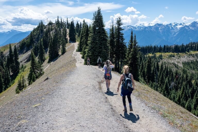 People walking along the ridge of one of the most popular Olympic National Park hikes