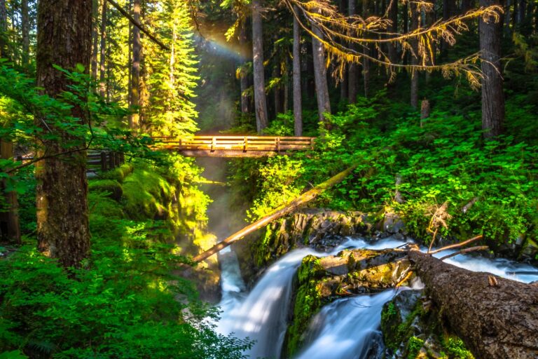 Sol Duc Falls is one of the most famous waterfalls and Olympic Peninsula hikes